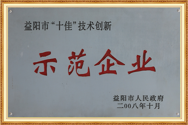 榮獲益陽市“十佳”技術創新示范企業2008年10月